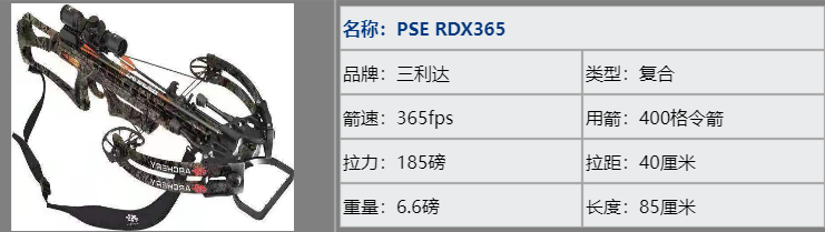 DM_20250508193201_006.png